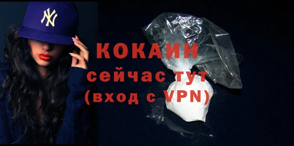 меф Арсеньев