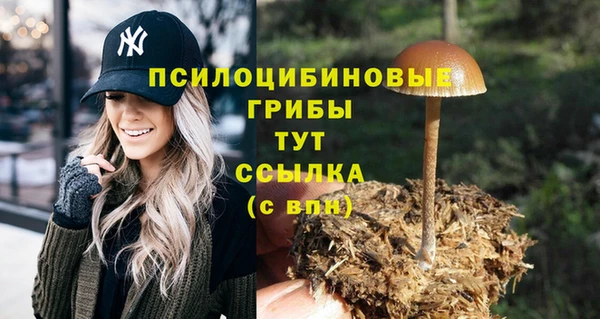 MESCALINE Аркадак