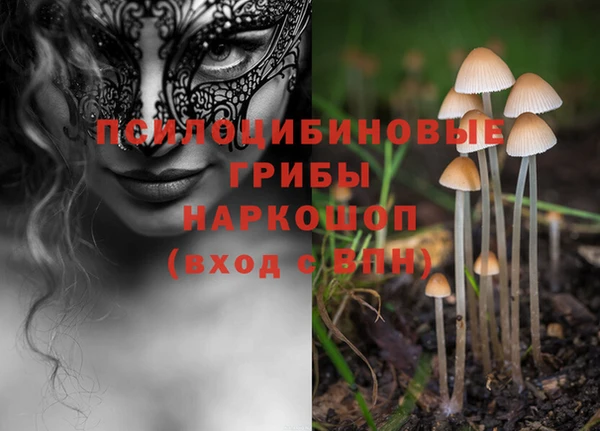 MESCALINE Аркадак