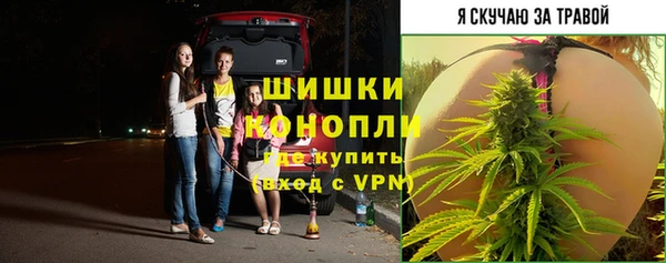 MESCALINE Аркадак